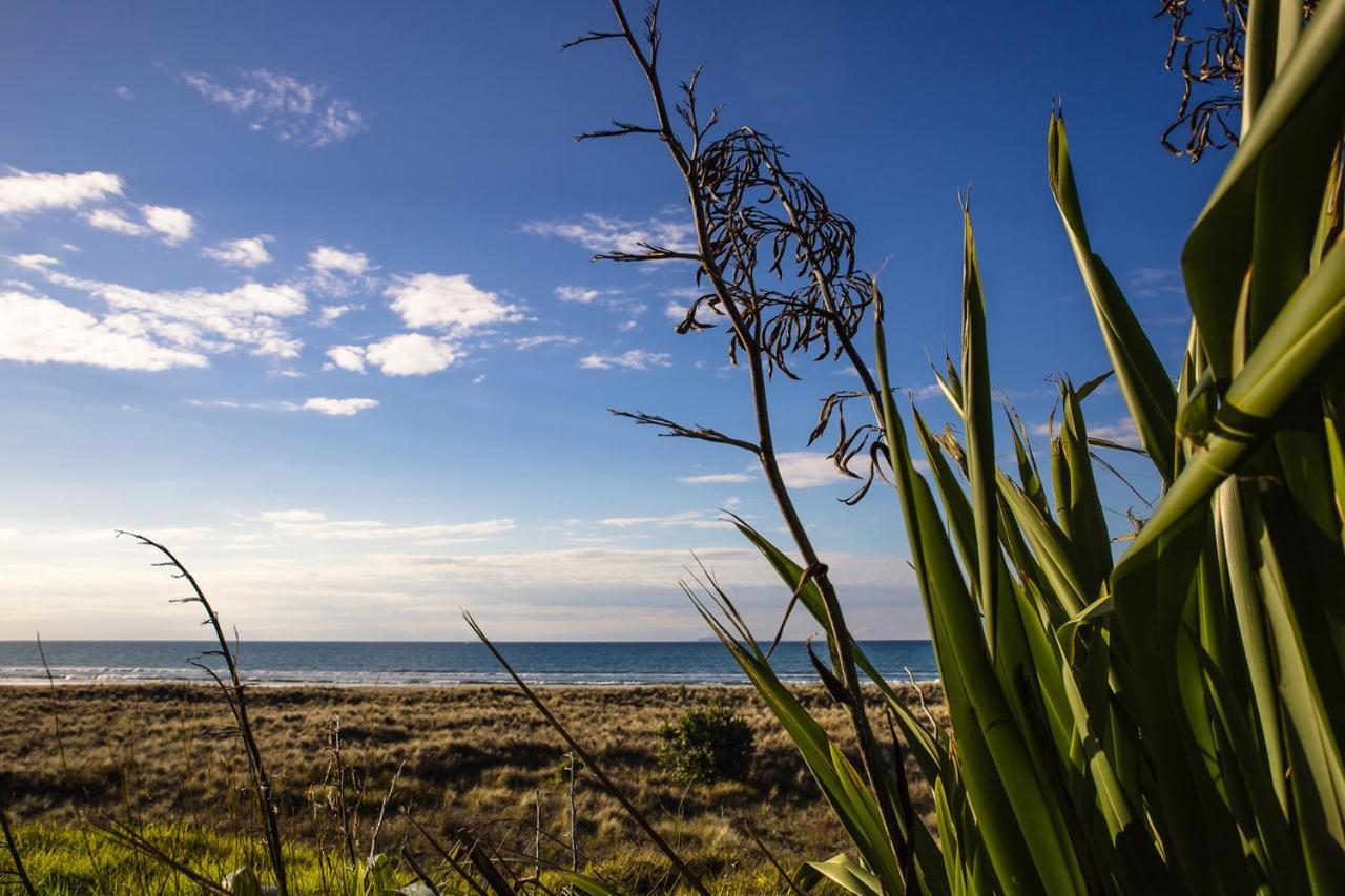 Ohiwa Beach Apartments/ Motel Opotiki Ngoại thất bức ảnh